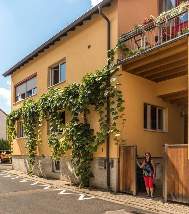 Apartment Unter Den Reben