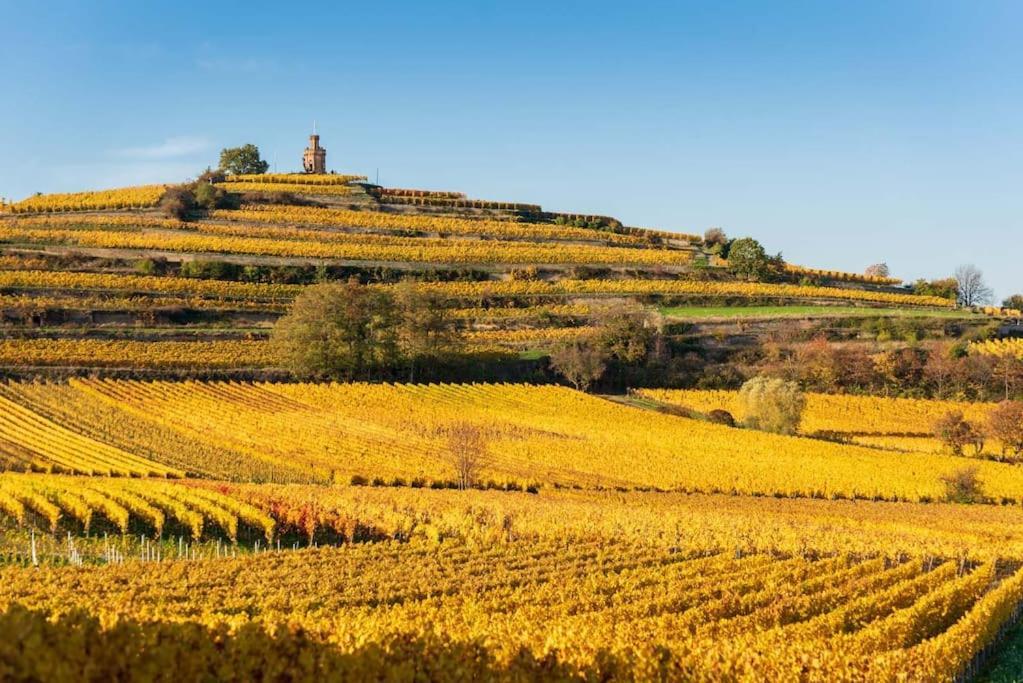 Unter Den Reben * Niederkirchen bei Deidesheim