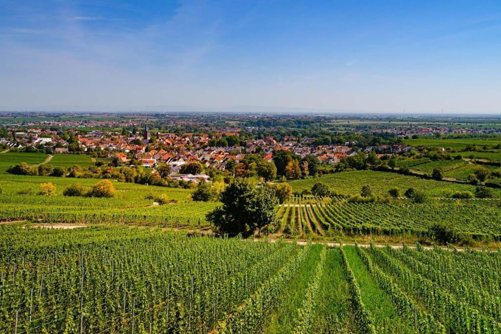 Unter Den Reben *