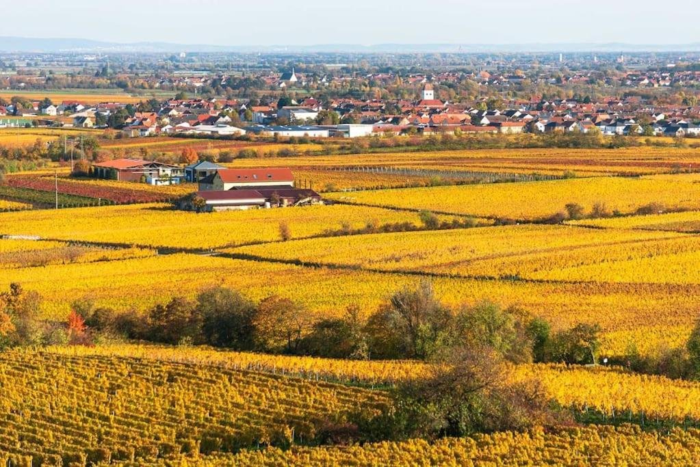 Unter Den Reben Apartment Niederkirchen bei Deidesheim